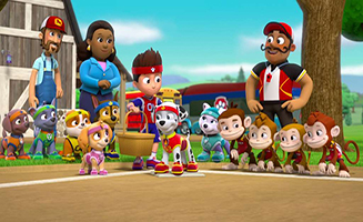 PAW Patrol S03E17 All Star Pups - Pups Save Sports Day