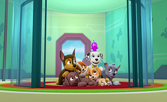 PAW Patrol S03E19 Pups Get Growing - Pups Save a Space Toy