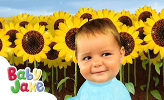 Baby Jake Lovely Sunflowers
