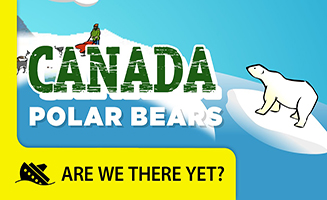 Canada Polar Bears - Travel Kids in North America