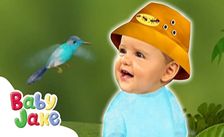 Baby Jake Hum with a Hummingbird Yacki Yacki Yoggi