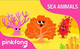Pinkfong Hoy hoy Coral - Sea Animal Songs