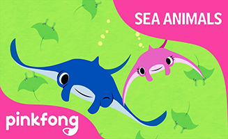 Pinkfong Super Duper Manta Ray - Sea Animals Song