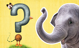 What Is It - ANIMAL GUESSING GAME