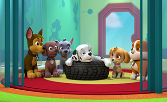 PAW Patrol S05E01 Pups Save the Kitty Rescue Crew - Pups Save an Ostrich