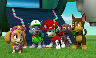 PAW Patrol S05E05 Pups Save an Extreme Lunch - Pups Save a Cat Burglar
