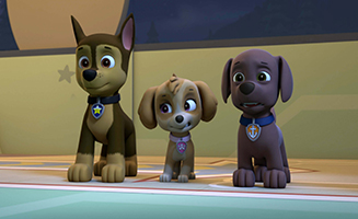 PAW Patrol S05E19 Pups and the Werepuppy - Pups Save a Sleepwalking Mayor