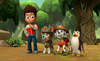 PAW Patrol S06E01 Pups Save the Jungle Penguins - Pups Save a Freighter