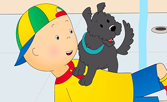 Caillous New Adventures S03E05 Caillou and the Dog