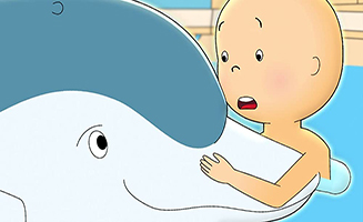 Caillous New Adventures S04E09 Caillou and the Dolphin