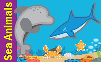 Learn Sea Animals And Water Animals For Kids