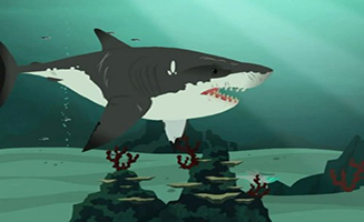 Wild Kratts S02E01 Stuck on Sharks