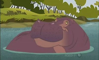 Wild Kratts S02E06 Race for the Hippo Disc