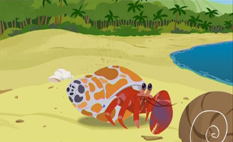 Wild Kratts S03E01 The Hermit Crab Shell Exchange