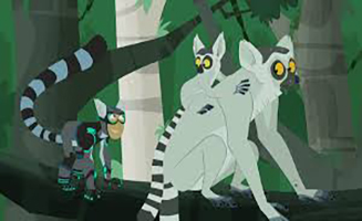 Wild Kratts S03E20 Lemur Stink Fight