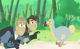 Wild Kratts S03E25 Back in Creature Time Part 1 Day of the DoDo