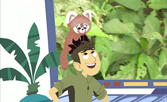 Wild Kratts S04E11 Red Panda Rescue